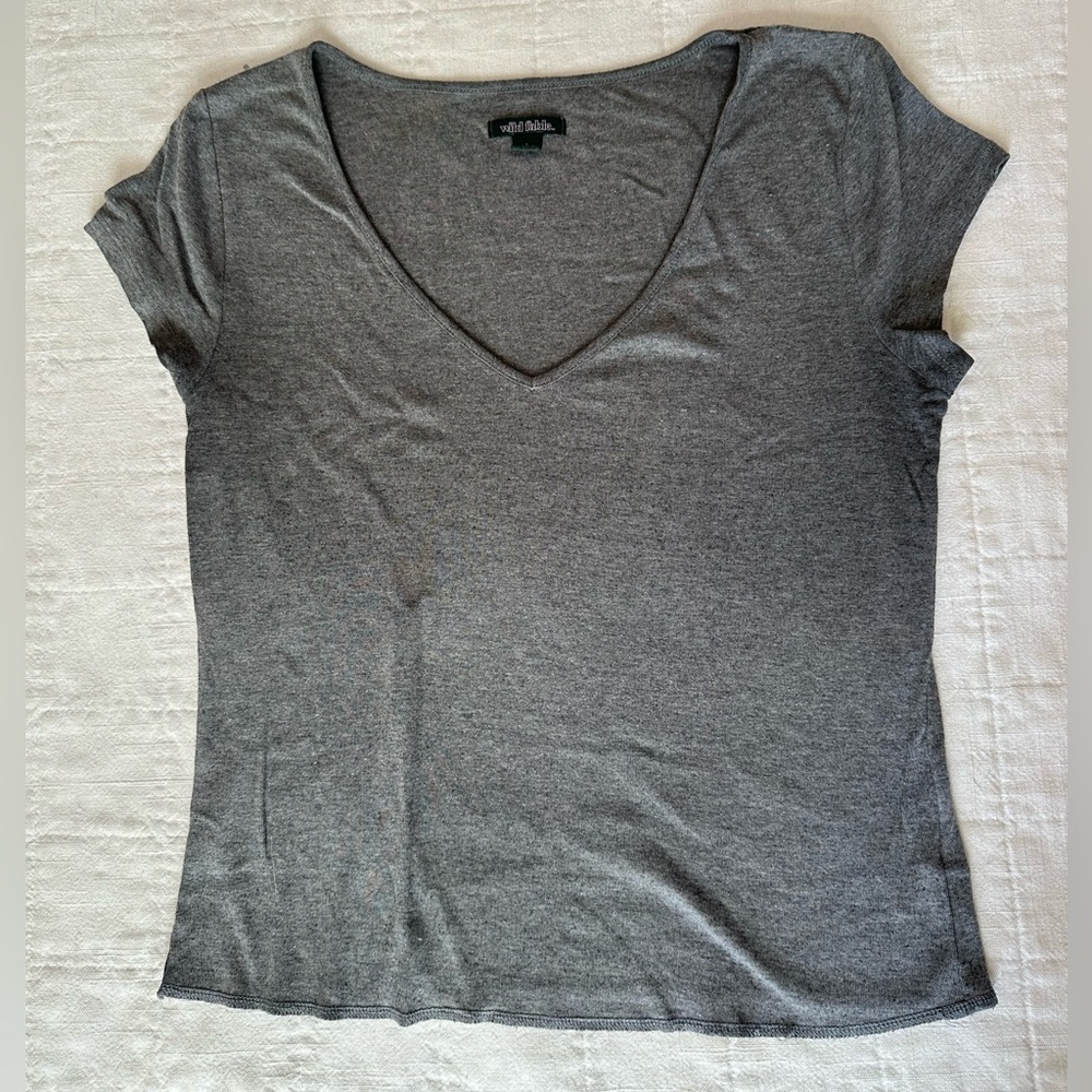 Lot of 2 Wild Fable V-neck cropped tee - grey